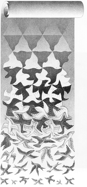 ESCHER11