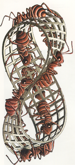 ESCHER6