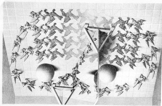 ESCHER8